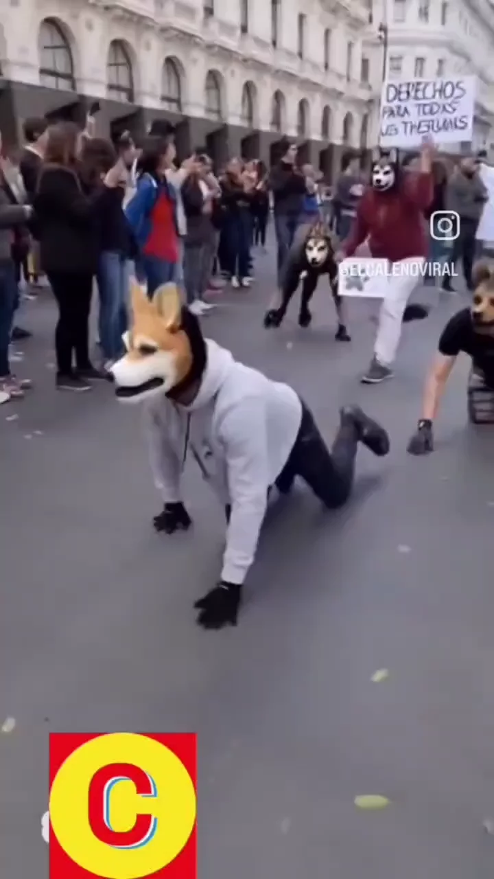 video_2026-02-23_06-50-21