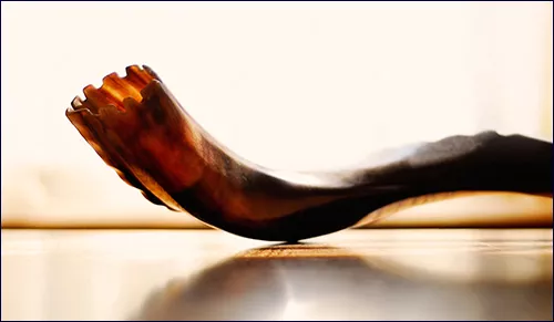 DonFernandoAguilarsAmazingShofar-500x291-2