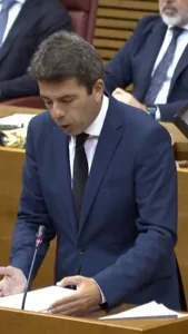 video_2024-11-15_14-14-29