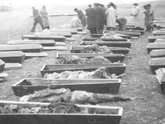 Exhumacion_en_Soto_de_la_Aldovea