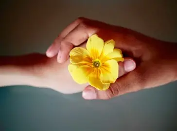 OIP