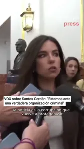 AA VOX