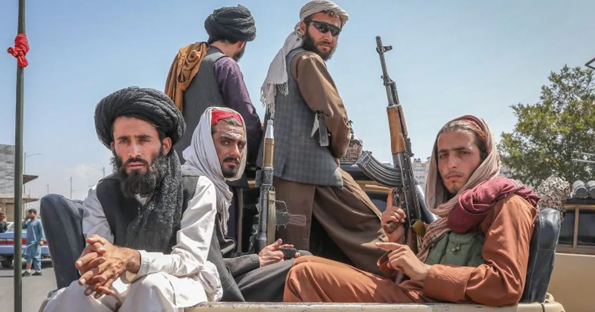 TERRORISTASTALISitled-1