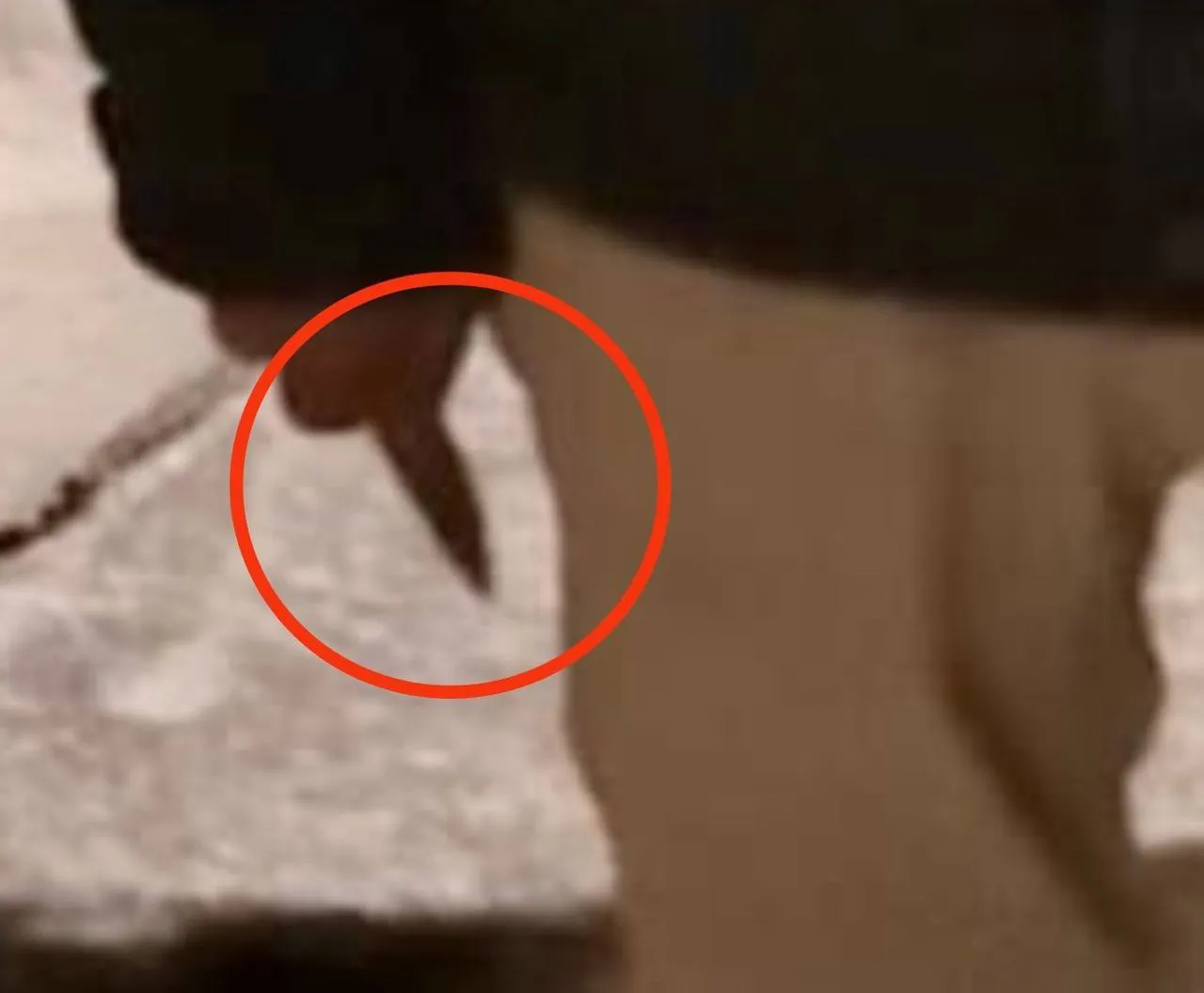 photo_2025-08-28_12-48-45 (2)