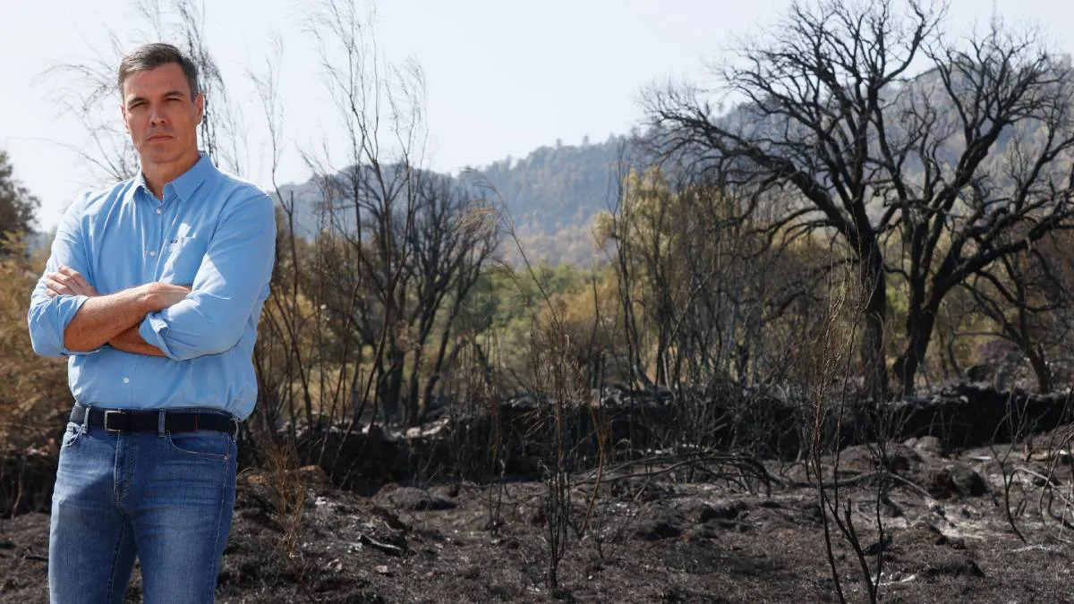 pedro-sanchez-incendios-espana