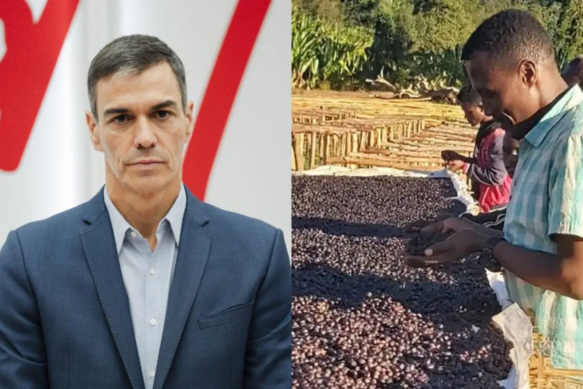 Diseno-sin-titulo-2025-11-09T114549.309