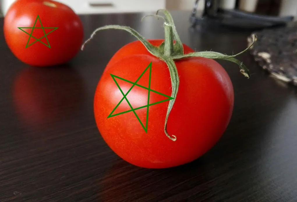 tomate-marroqui-ok