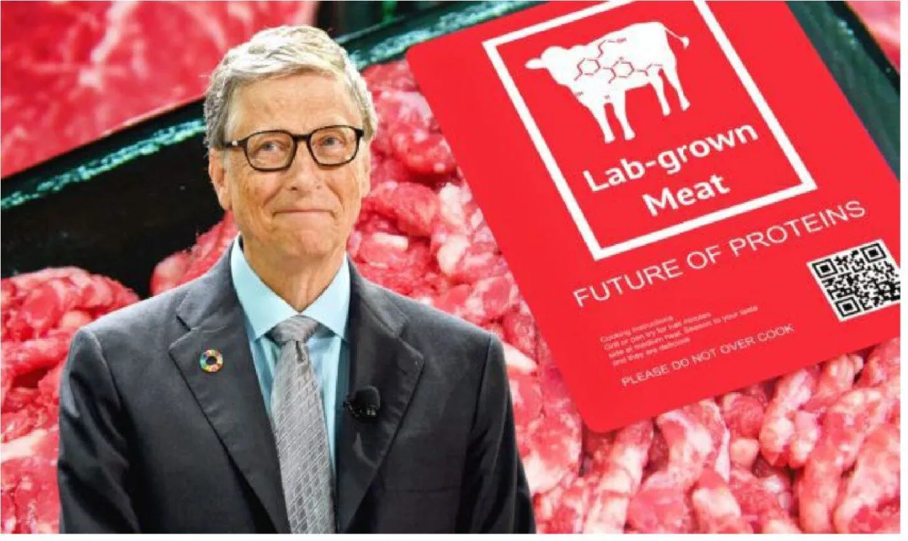 photo_2025-12-31_15-54-52