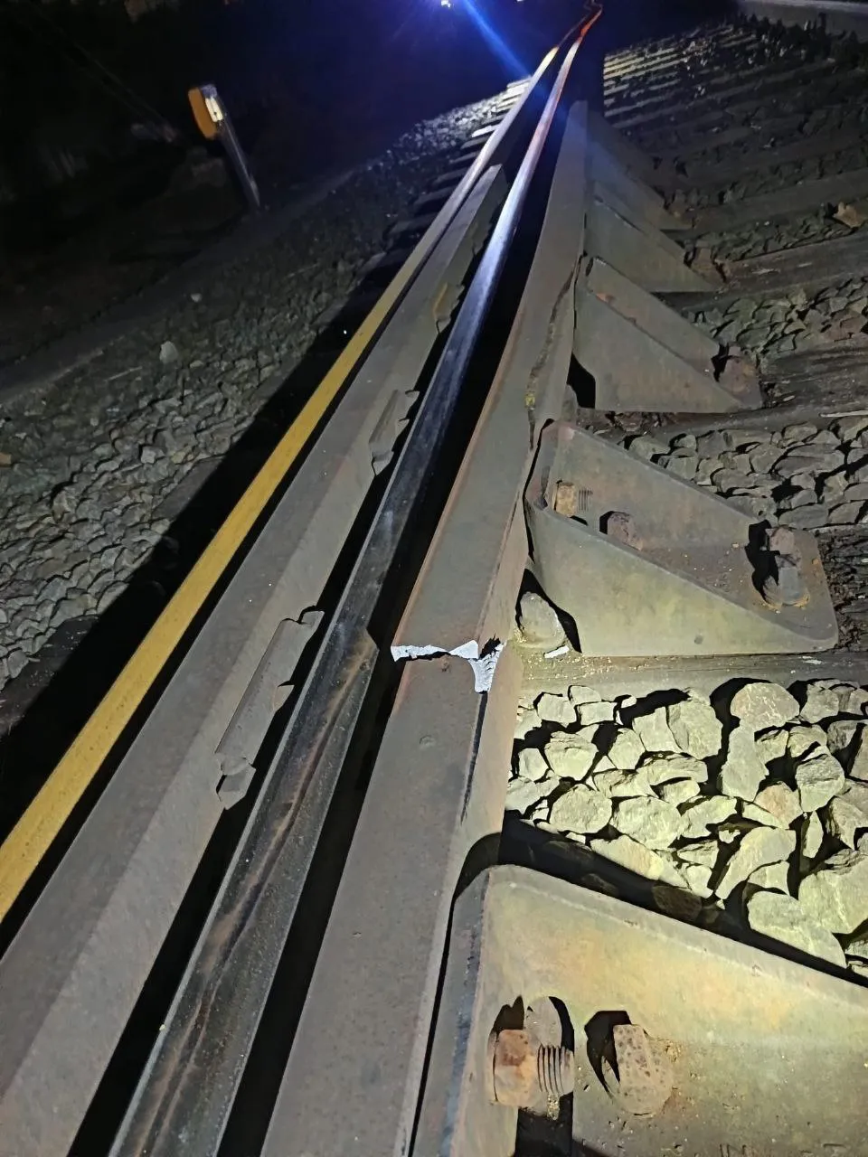 photo_2026-02-10_06-12-15