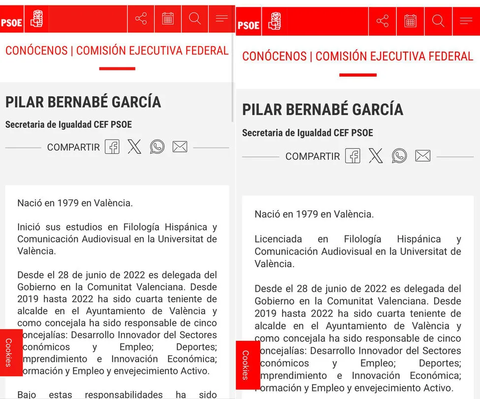 montaje-psoe-bernabe