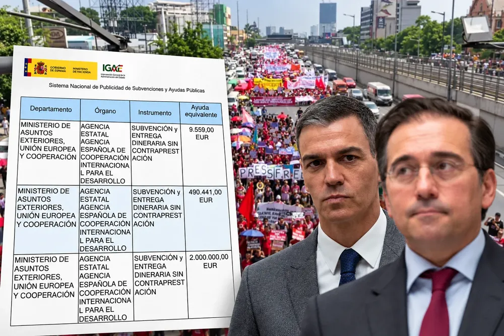 Documento-de-subvencion-politicos-y-pancartas