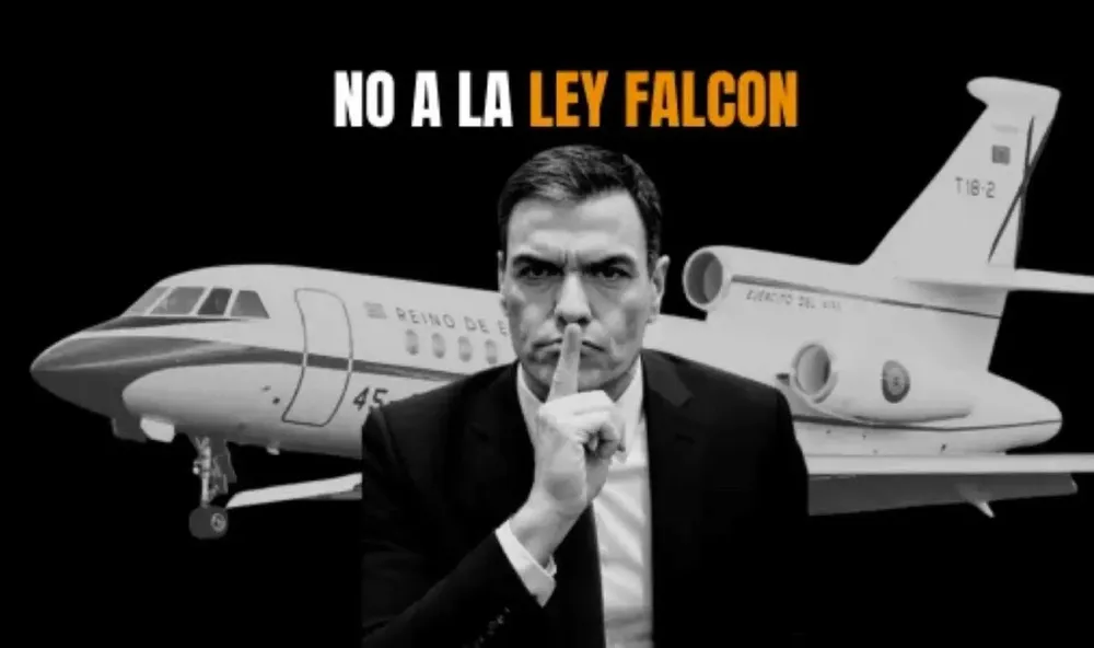 sanchez-ley-falcon