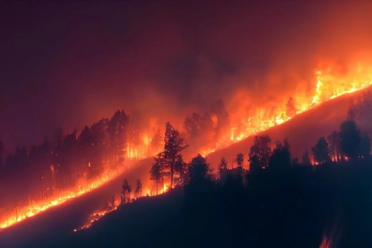 EuropaPress_7691133_incendio_monte_arboles_imagen_archivo-1