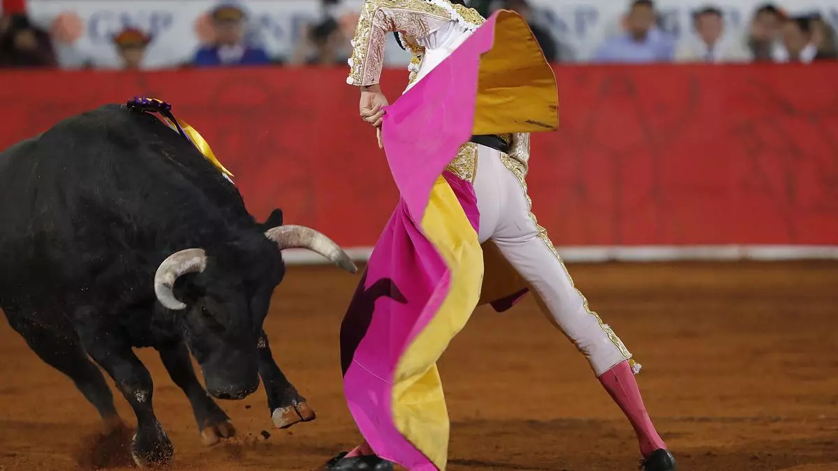 e3b1dd69-456a-4b57-a3d0-50964311c962_16-9-discover-aspect-ratio_default_0