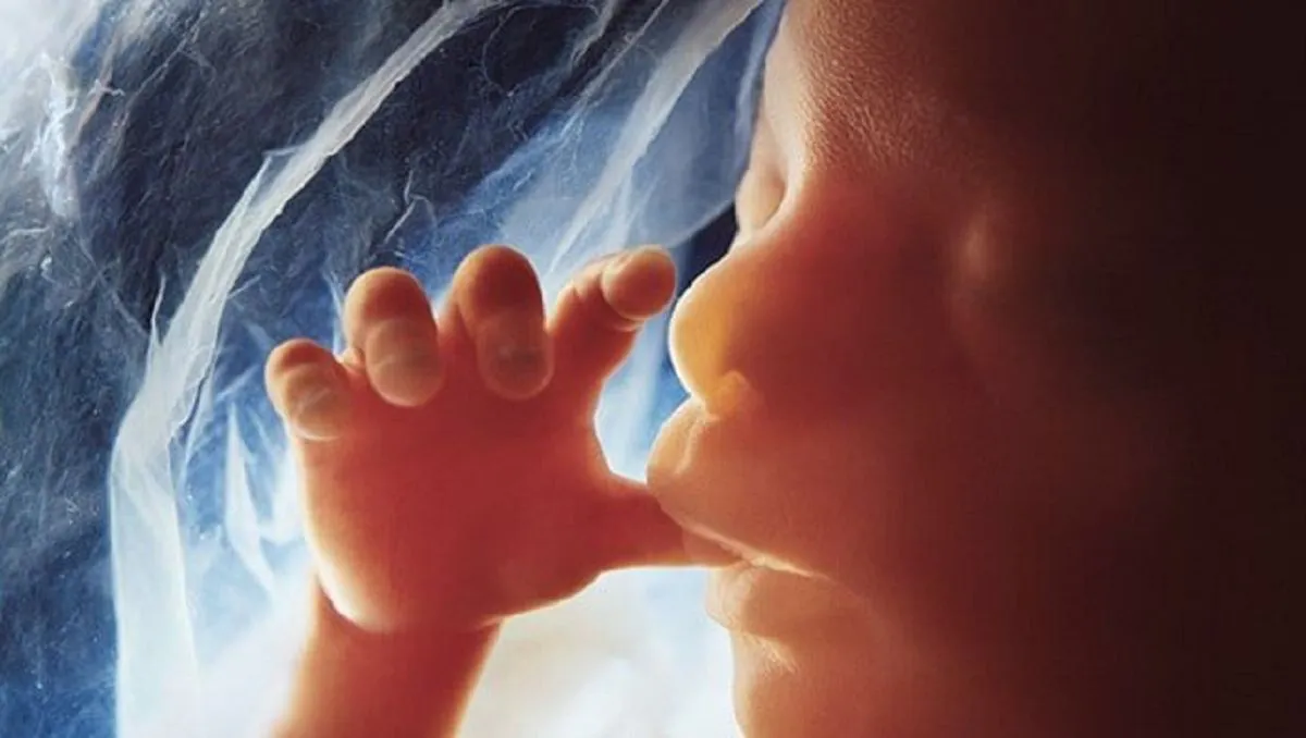 Biden-promueve-uso-de-partes-de-fetos-de-abortos