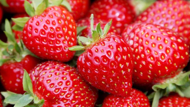 Fresas_1817528719_190107547_667x375