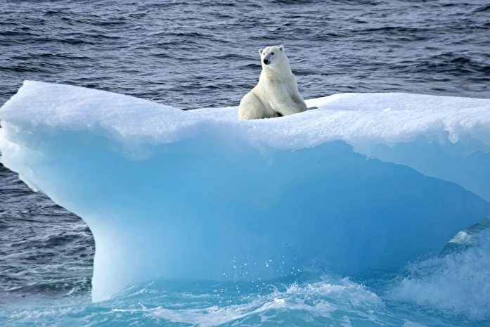 polar-iceberg-bay-canada.jpg
