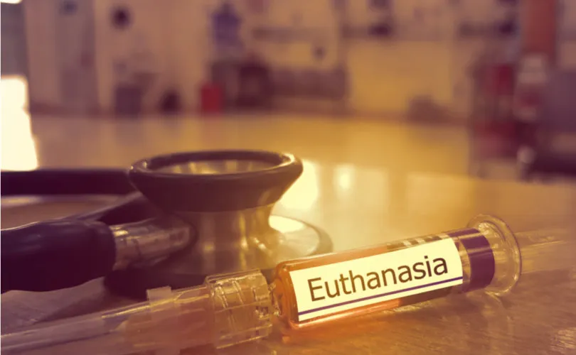 EUTANASIAshutterstock_1448688230-810x500-1