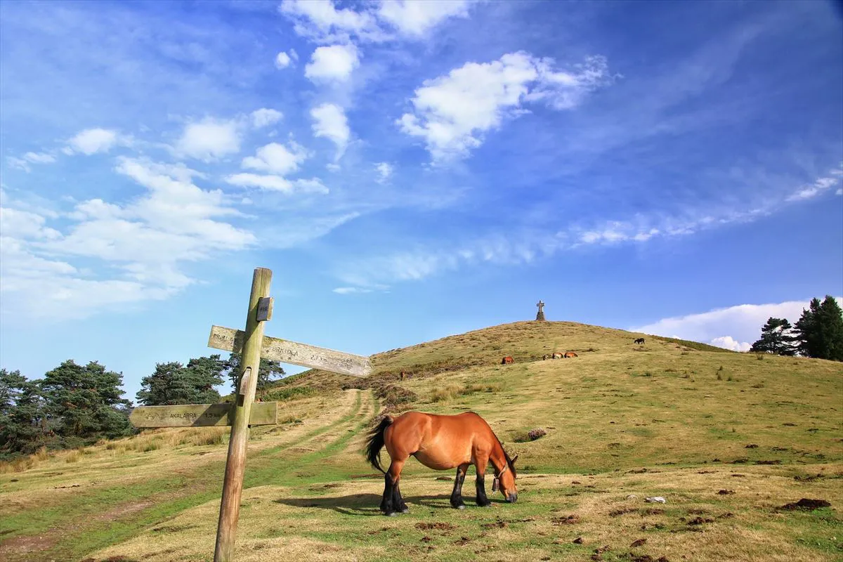 20231011205025_abadino-mendia-natura-ber_amp_w1200