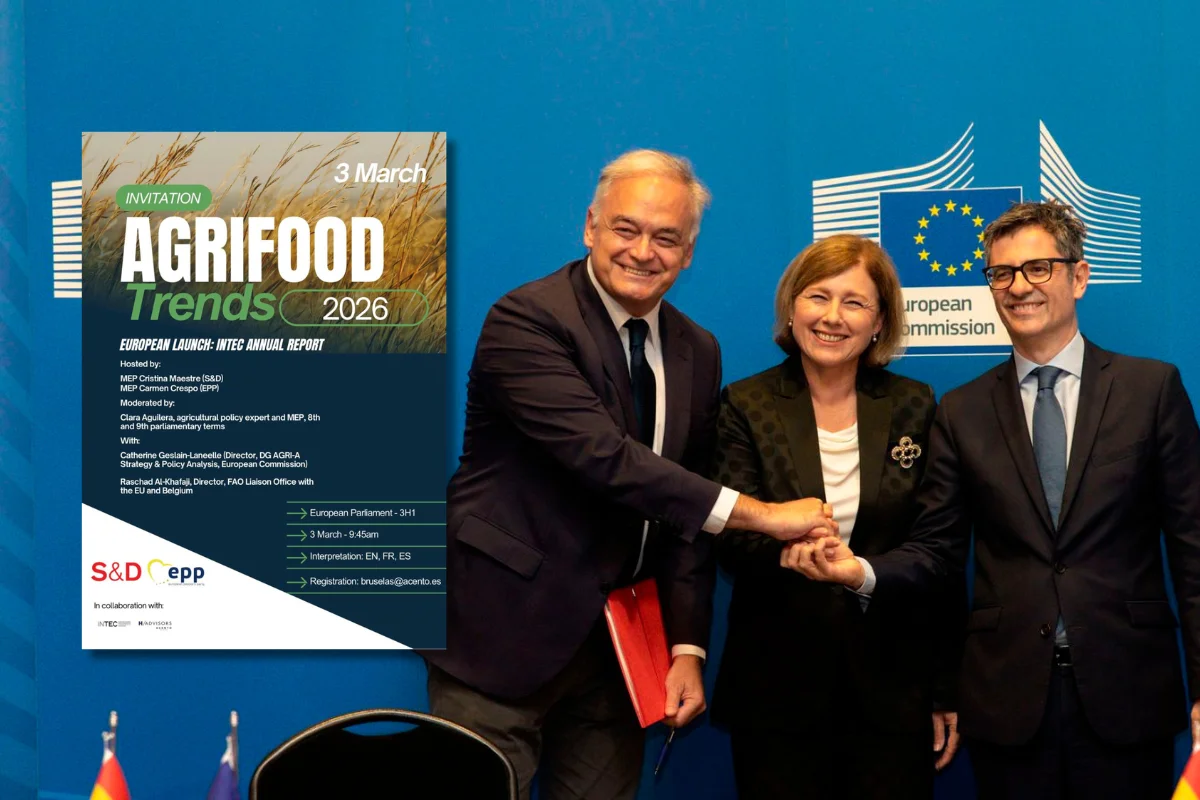 Diseno-sin-titulo-2026-02-24T160917.301