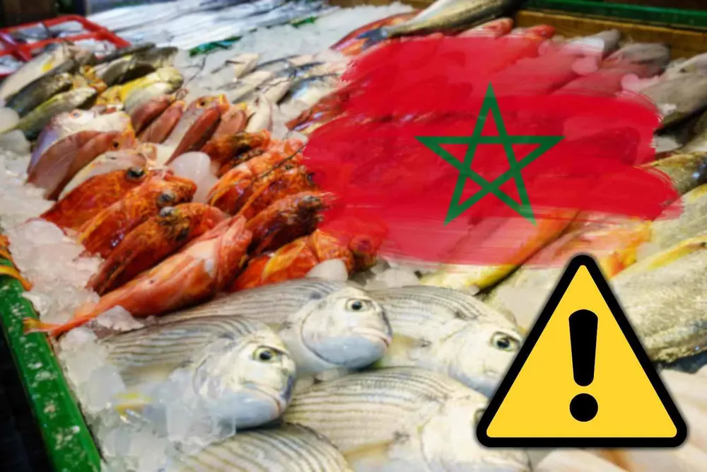 comida-marruecos