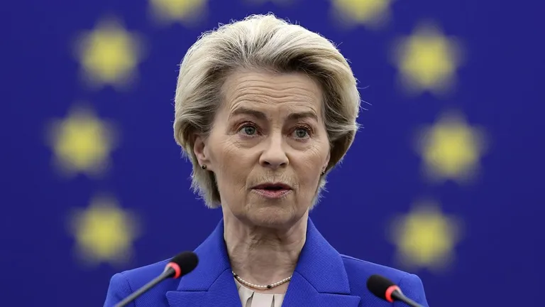 efe_20241218_094627341