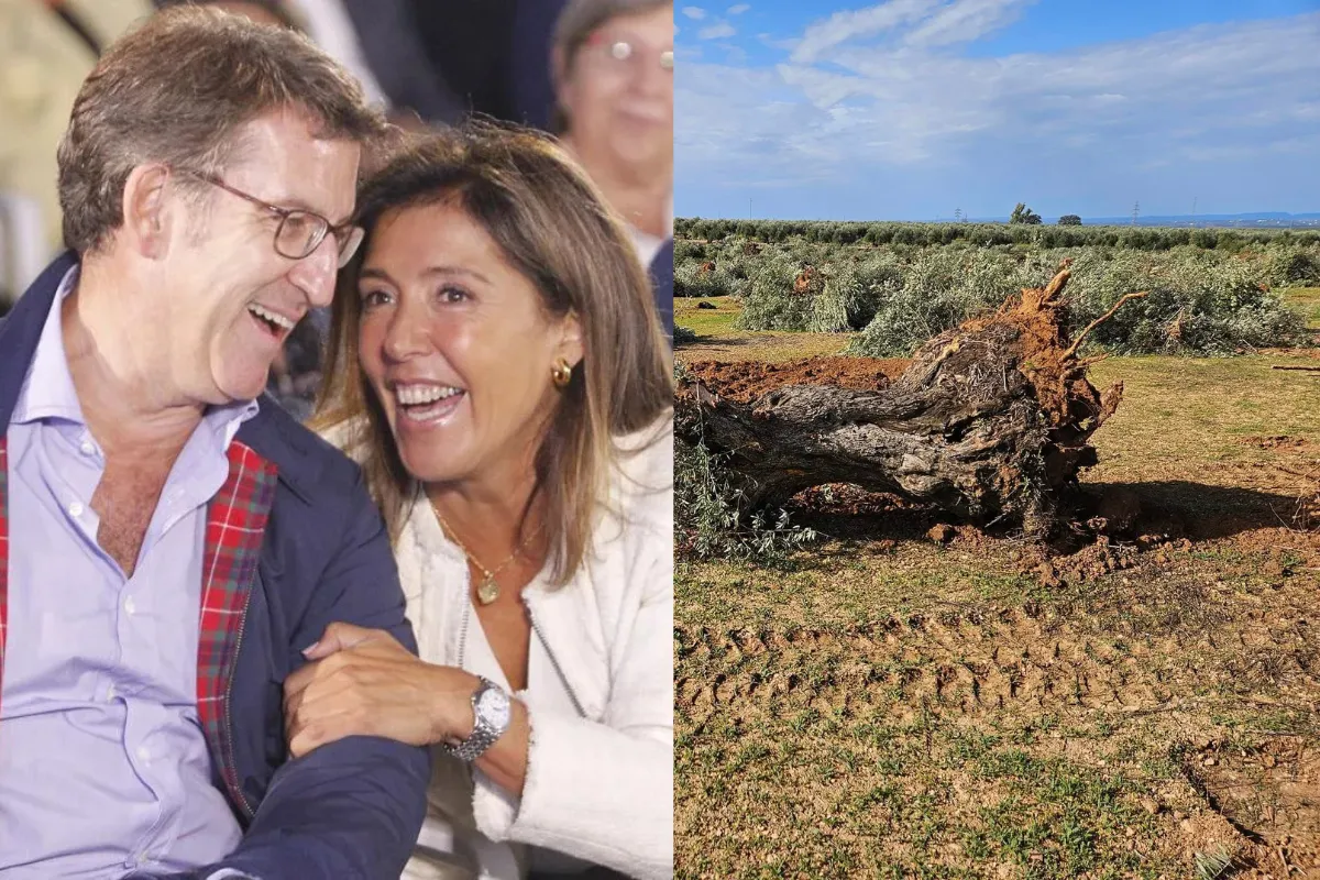 11-2025-05-26T123752.122