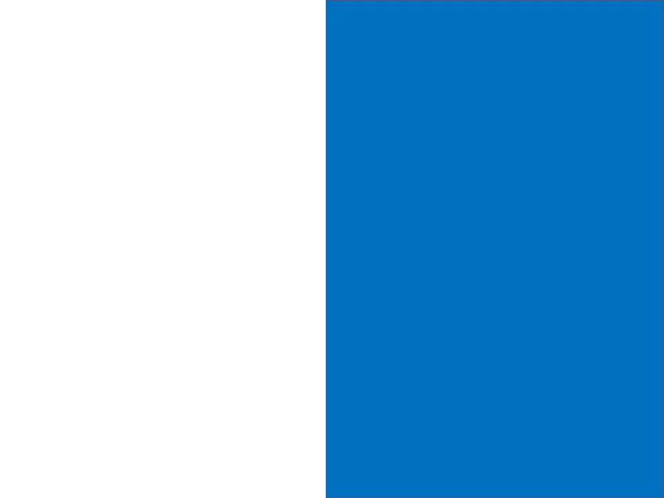 pesquerias_bandera