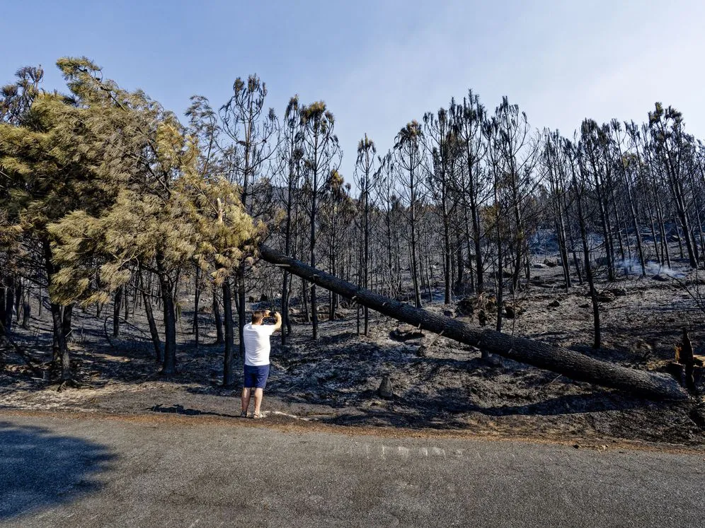 f.elconfidencial.com_original_79a_aec_cf9_79aaeccf9d39bcb56af5046fb0448482