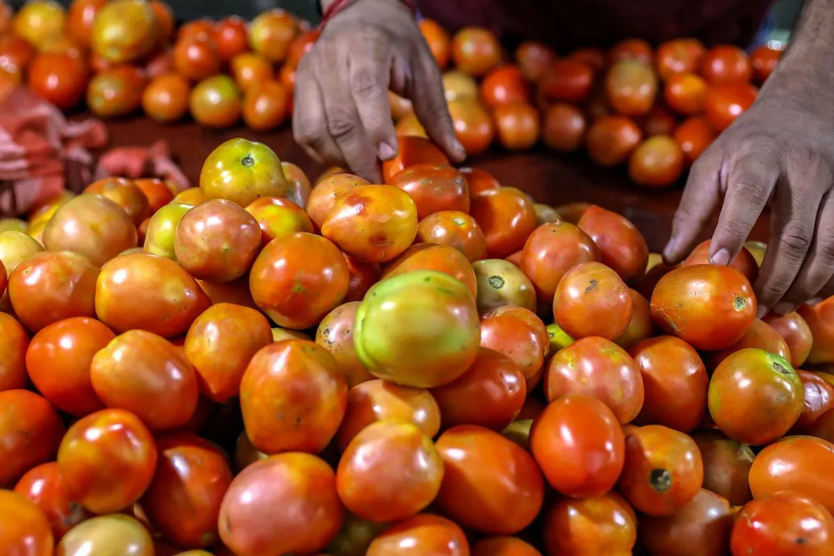 f.elconfidencial.com_original_a69_f24_f36_a69f24f36ba51e41192f4fd526417e95-1