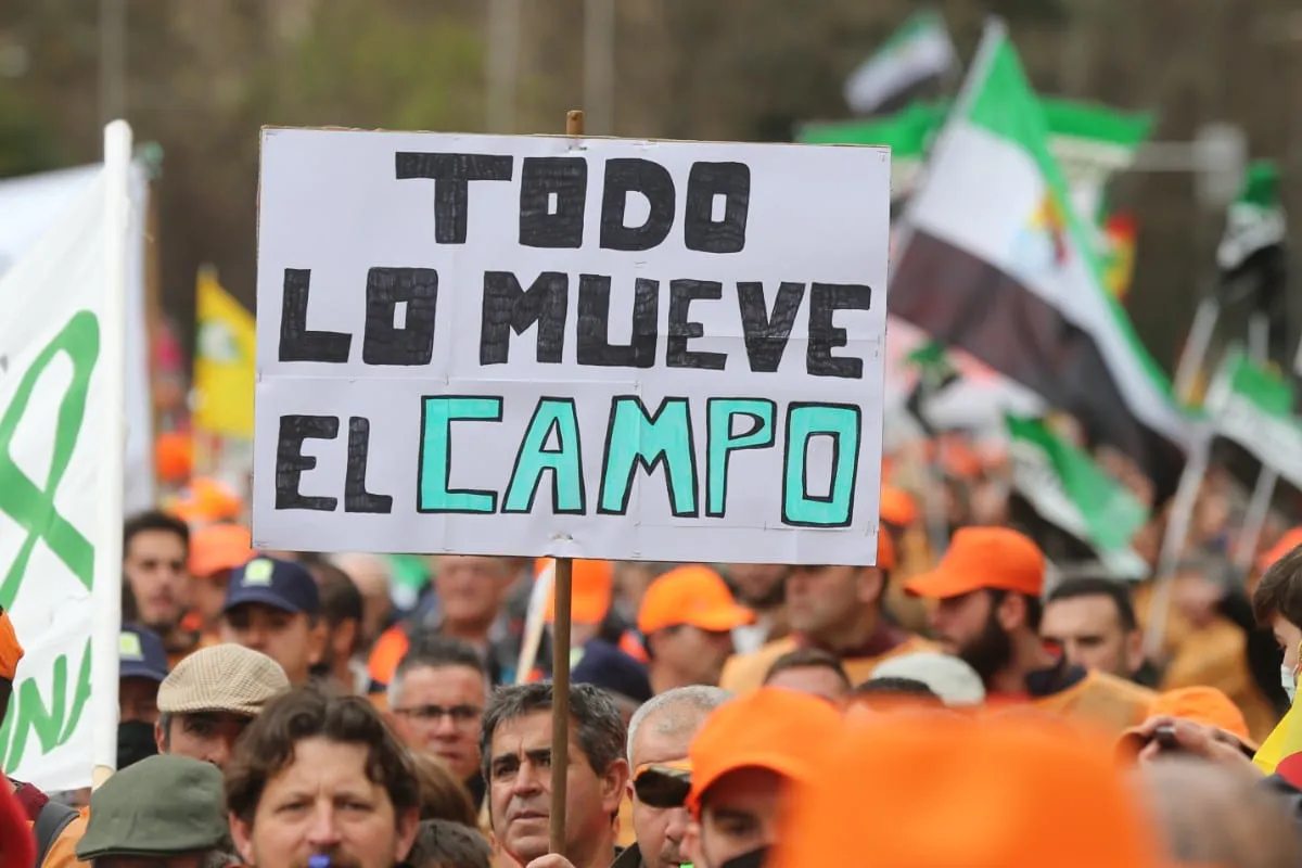campo-09