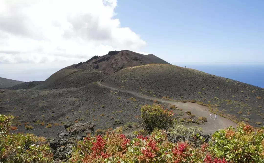 Screenshot_20210919_133058