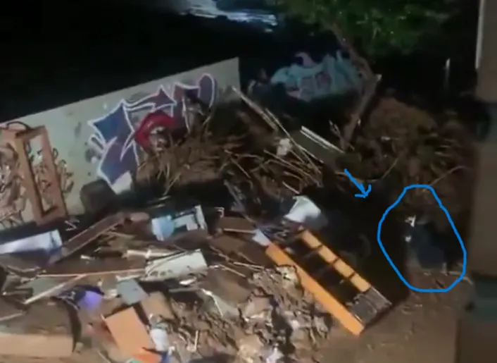 Screenshot_2024_1104_150241