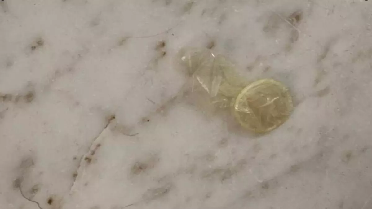 condon-parlamento-vasco-1