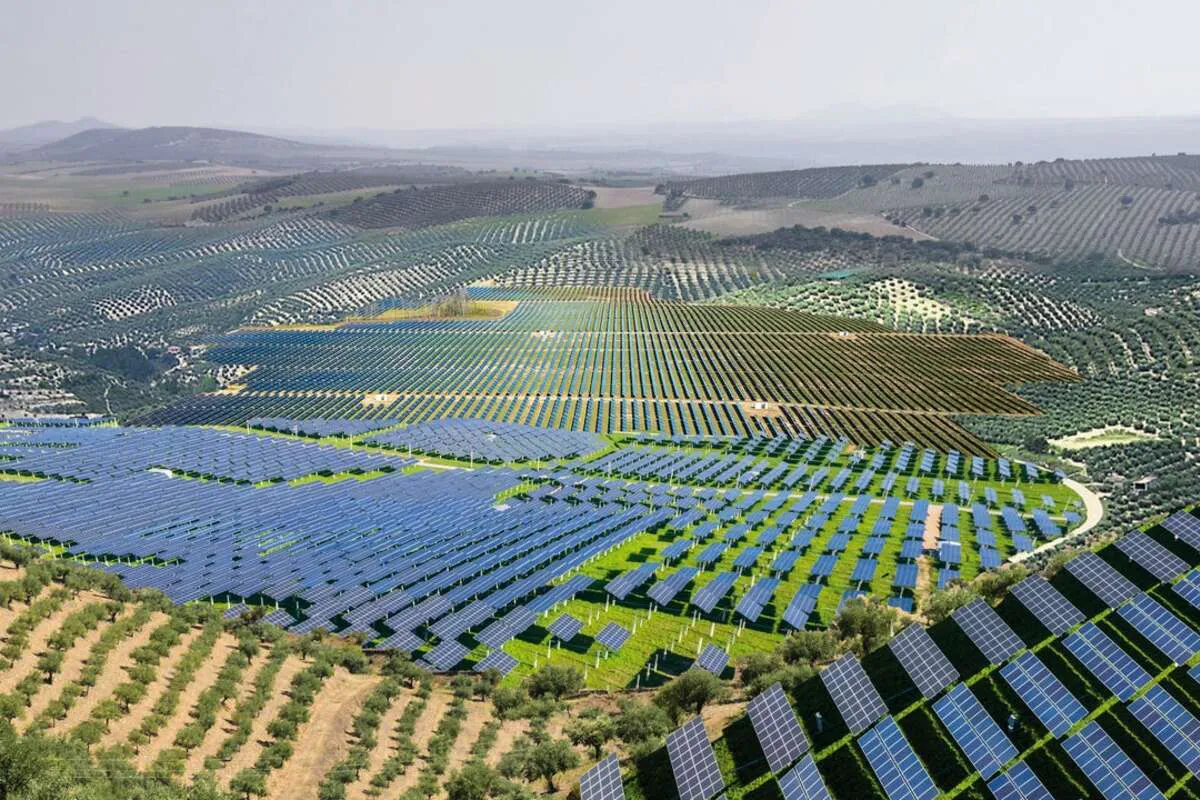 ilustracion-portada-olivos-placas-solares_69-1-1