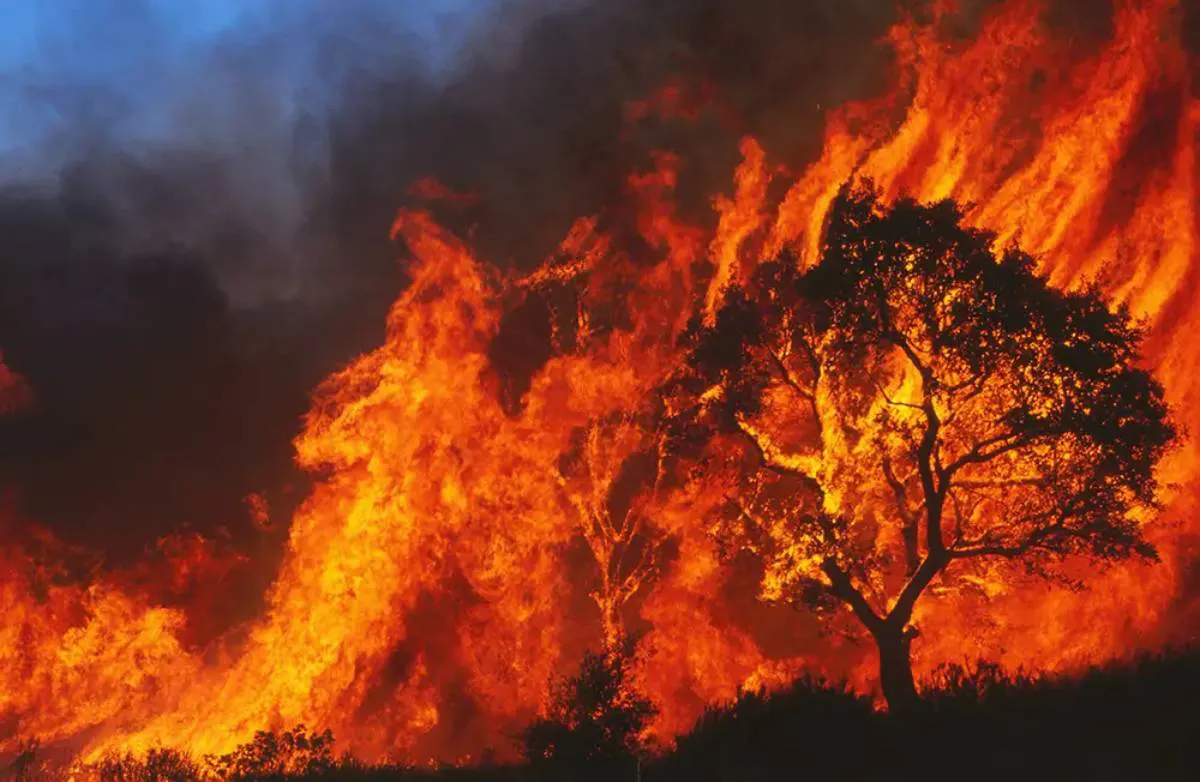 incendio-extremadura