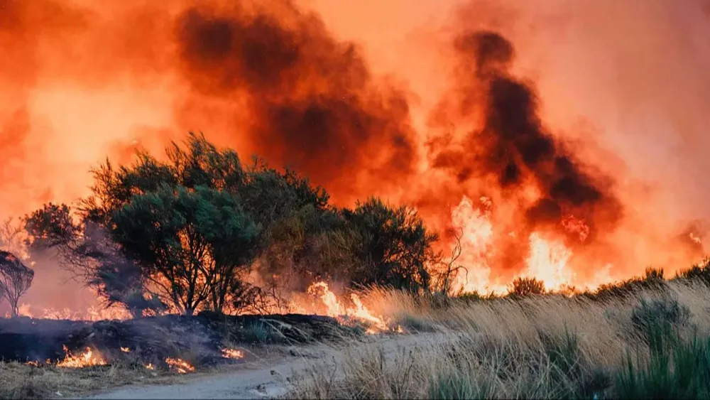 No-prevencion-forestal-RTVE