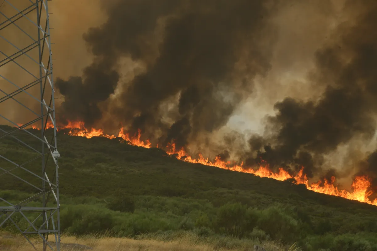EuropaPress_6902742_incendio_forestal_acerca_vilela_15_agosto_2025_vilela_cualedro_monterrei-1-1
