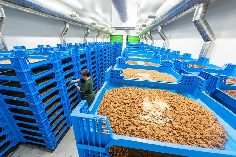 SPGBBOCLQZF7NKYYWLLTXHRWOM