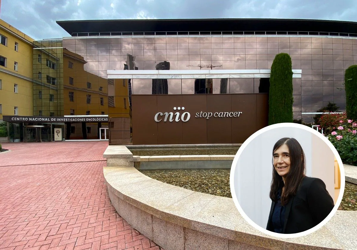 cnio-principal-RJ2ihvJoVeXMuQyuKPBJuYO-1200x840@diario_abc