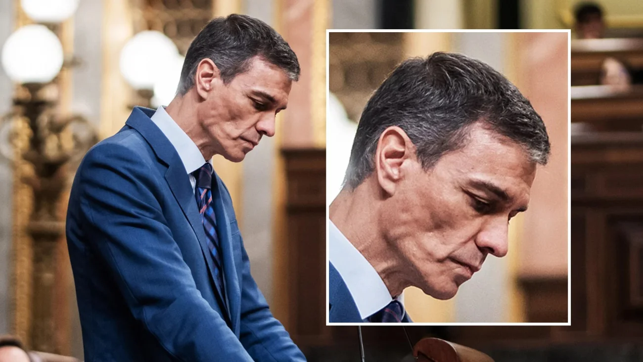 la-degradacion-de-pedro-sanchez-psoe-904e7e30