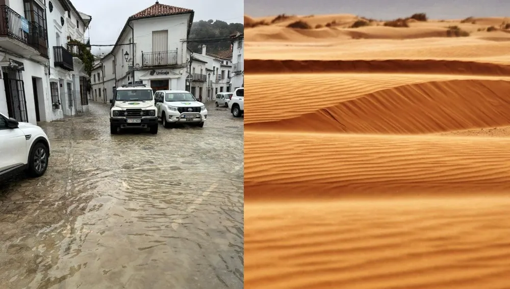 whatsapp-image-2026-02-25-at-15-53-45