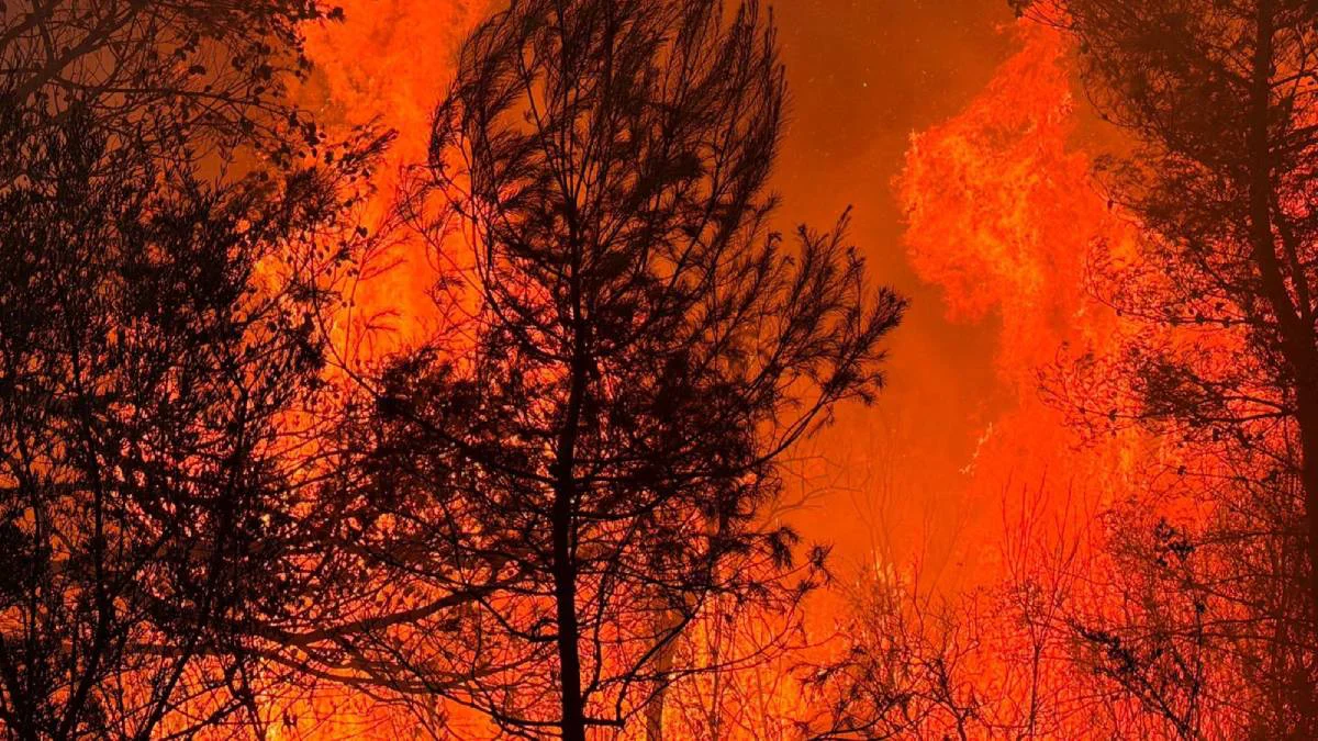 incendios-avla