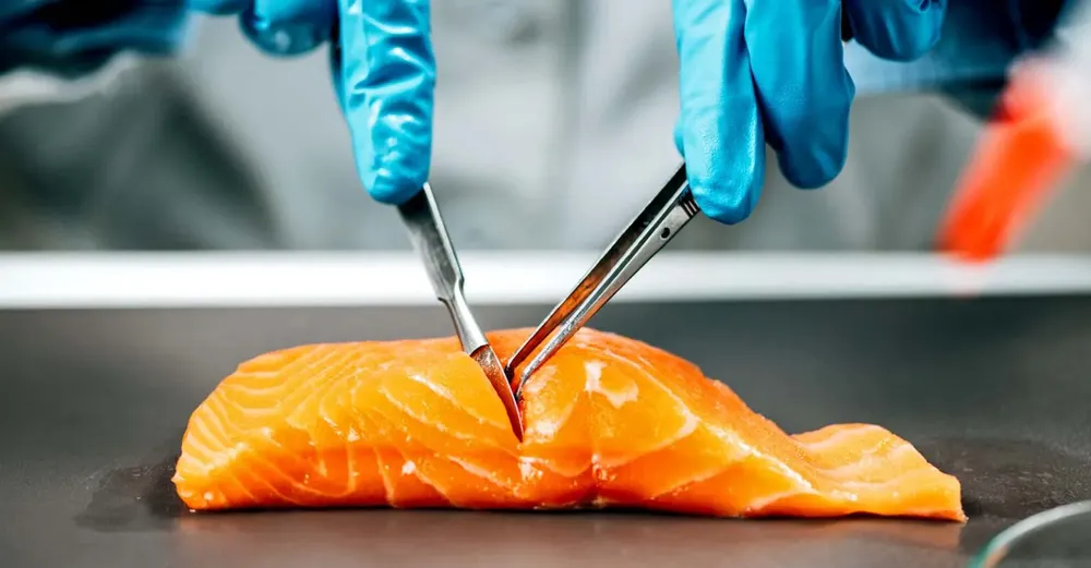 fda-fake-salmon-no-testing-1536x801-1