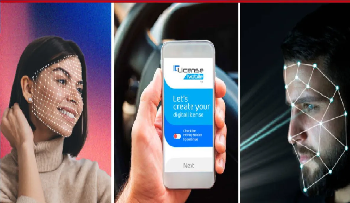 licencia-de-conducir-digital